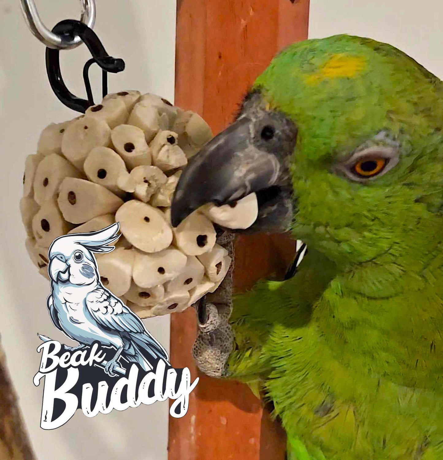 Sola Buddy Balls™ Soft Wood Bird Toy